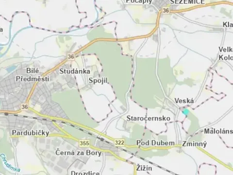 Prodej lesa, Lány u Dašic, 18841 m2