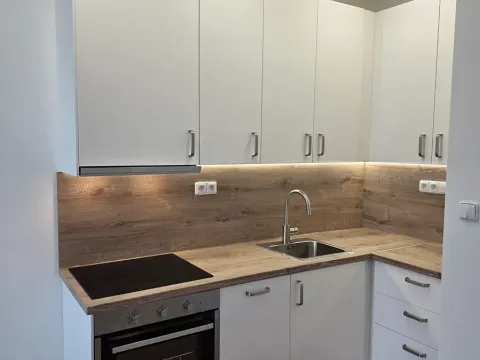 Pronájem bytu 2+kk, Praha - Vinohrady, Nad olšinami, 47 m2