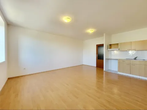 Pronájem bytu 1+kk, Brno, Svitavské nábřeží, 33 m2