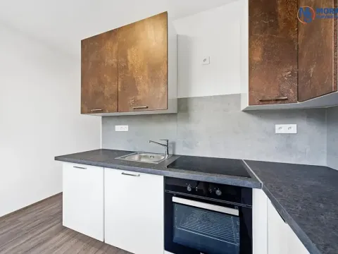 Pronájem bytu 2+1, Olomouc, Brněnská, 58 m2
