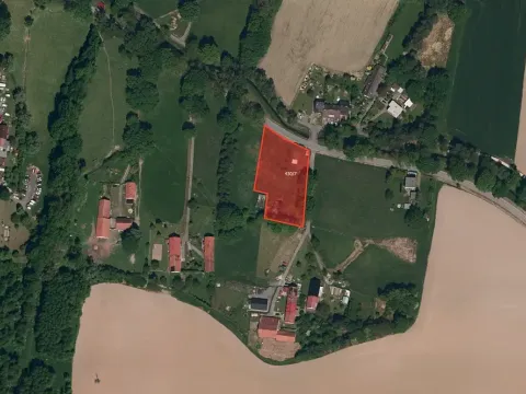 Prodej louky, Velké Albrechtice, 4445 m2