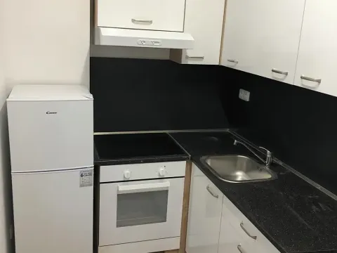 Pronájem bytu 1+1, Brno, Bratislavská, 38 m2