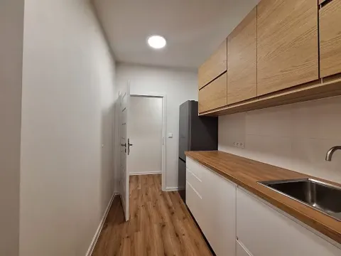 Pronájem bytu 1+1, Praha - Bubeneč, U zeměpisného ústavu, 37 m2