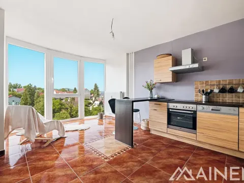 Prodej bytu 2+kk, Plzeň, Klatovská, 43 m2