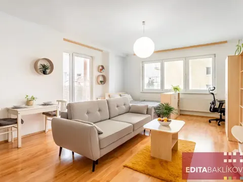 Pronájem bytu 1+kk, Olomouc, Handkeho, 43 m2