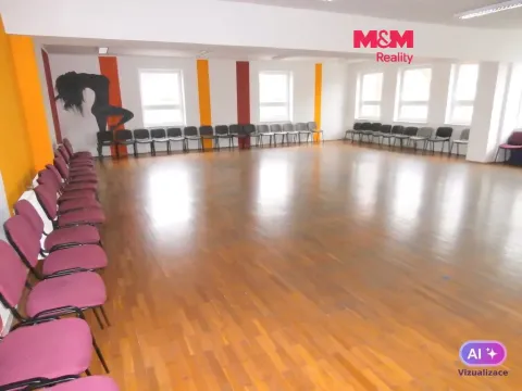 Pronájem obchodního prostoru, Ostrava - Mariánské Hory, Karasova, 335 m2