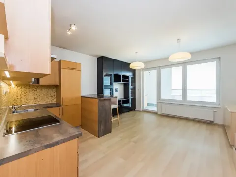 Pronájem bytu 1+kk, Praha - Horní Měcholupy, Mantovská, 45 m2