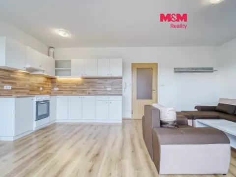 Pronájem bytu 1+kk, Plasy, U Václava, 38 m2