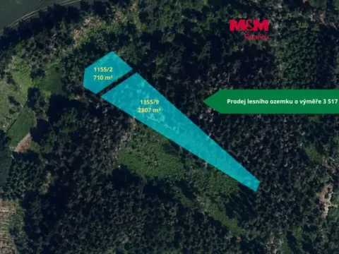 Prodej lesa, Budětsko, 3517 m2