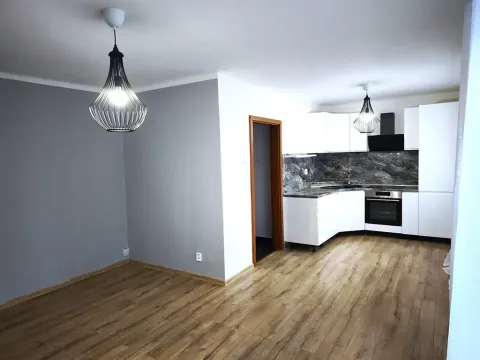 Pronájem bytu 1+kk, Slaný, Rabasova, 28 m2