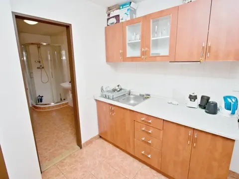 Pronájem bytu 3+kk, Brno, Hrnčířská, 75 m2