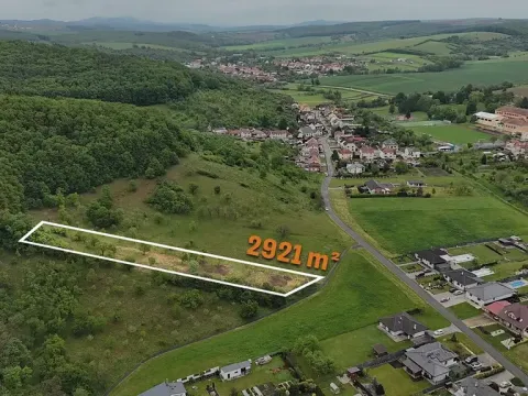 Prodej pozemku pro bydlení, Prakšice, 2921 m2