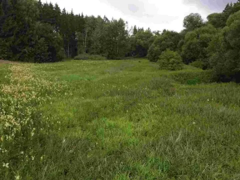 Prodej pole, Chýnov - Dobronice u Chýnova, 22334 m2