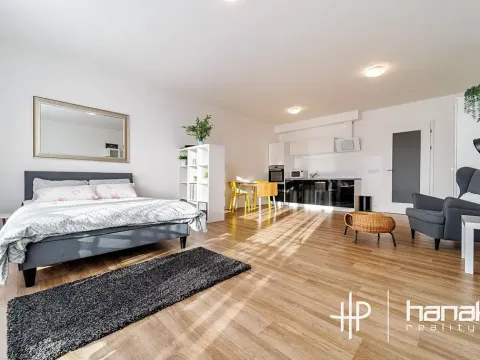 Pronájem bytu 1+kk, Olomouc, Dlouhá, 50 m2