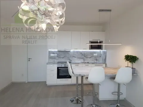 Pronájem bytu 1+kk, Ostrava, Závoří, 32 m2