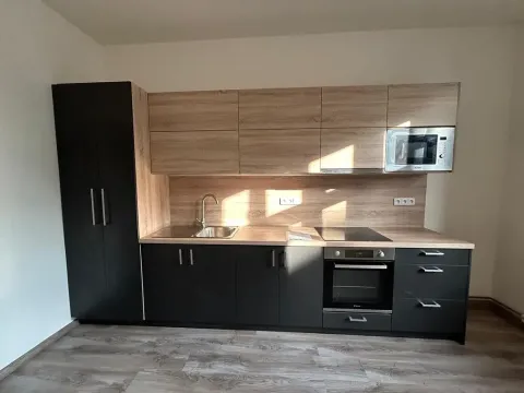 Pronájem bytu 2+kk, Děčín, Kamenická, 51 m2