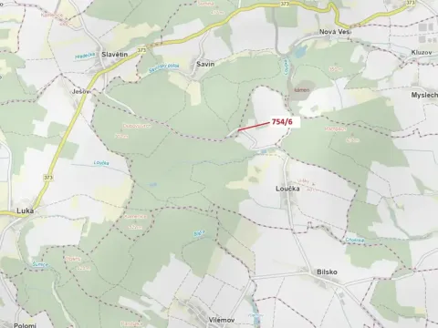 Dražba lesa, Loučka, 294 m2