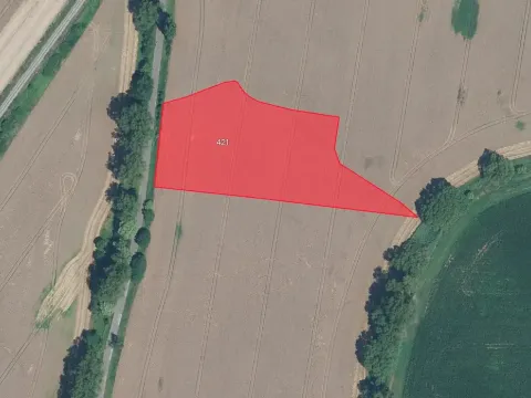 Prodej louky, Ohnišťany, 6850 m2
