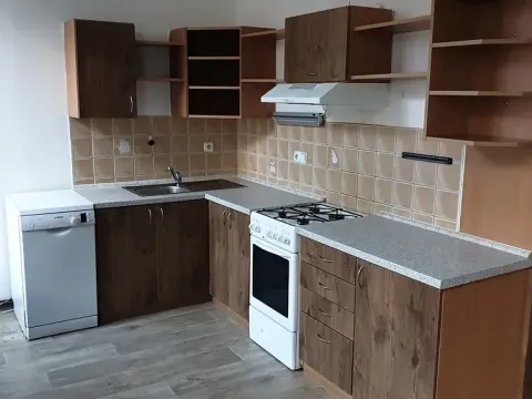 Pronájem bytu 2+1, Teplice, Jankovcova, 72 m2