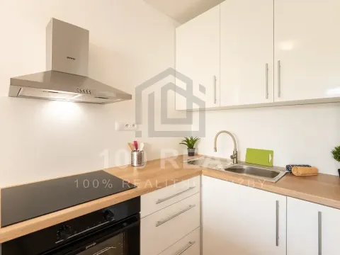 Pronájem bytu 1+kk, Hradec Králové, Selicharova, 30 m2