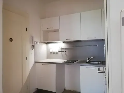 Pronájem bytu 2+1, Praha - Bubeneč, U zeměpisného ústavu, 45 m2