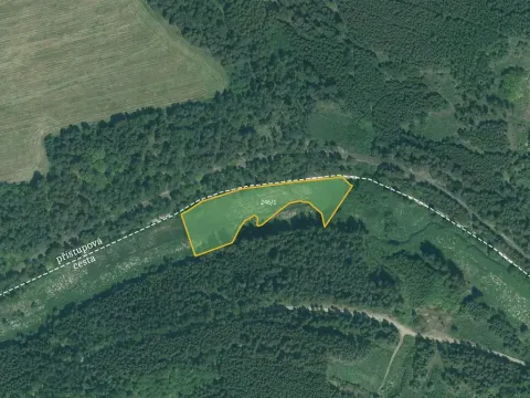 Prodej louky, Bor, 4514 m2