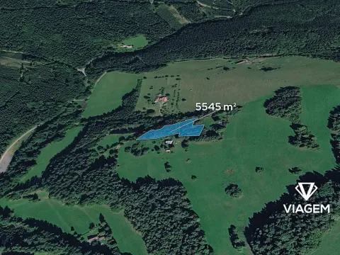 Prodej podílu lesa, Valašská Senice, 4990 m2