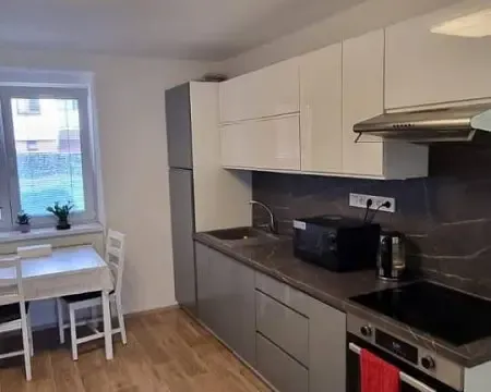 Pronájem bytu 2+1, Žďár nad Sázavou - Žďár nad Sázavou 3, Brodská, 52 m2