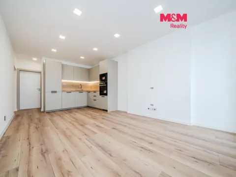 Prodej bytu 4+kk, Ostrava - Hrabůvka, Holasova, 78 m2