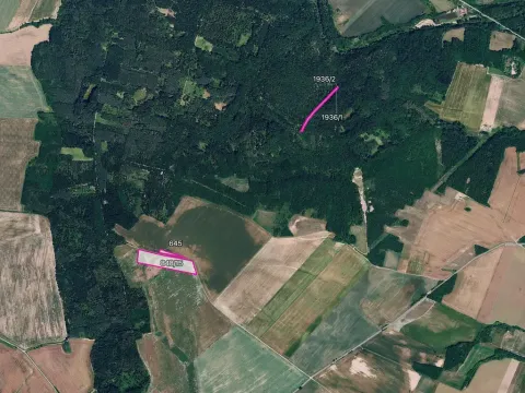 Prodej pole, Džbánice, 11072 m2