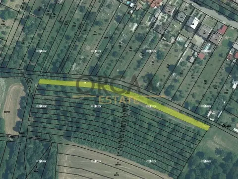 Prodej louky, Bystřice pod Hostýnem, 1187 m2