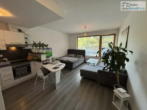 Pronájem bytu 1+kk, Brno, Pastviny, 58 m2