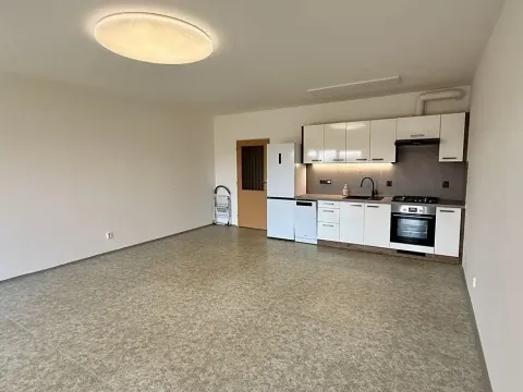 Pronájem bytu 1+kk, Brno, Vavřinecká, 41 m2