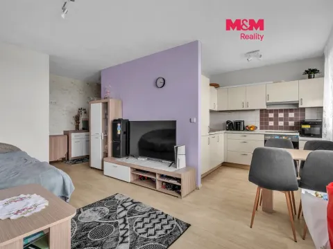 Prodej bytu 1+kk, Pardubice - Zelené Předměstí, nábřeží Závodu míru, 35 m2