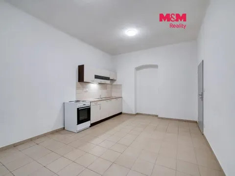 Prodej obchodního prostoru, Plzeň - Jižní Předměstí, Koperníkova, 46 m2