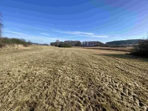Dražba louky, Kváskovice, 10470 m2
