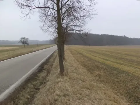 Dražba pole, Zahájí, 1591 m2