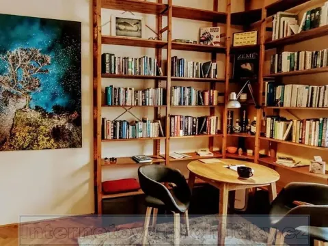 Pronájem bytu 1+1, Praha - Staré Město, 35 m2