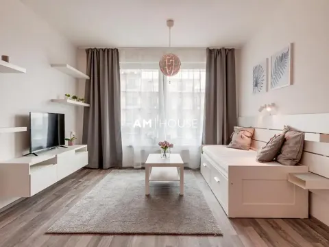 Pronájem bytu 1+kk, Praha - Karlín, Breitfeldova, 32 m2