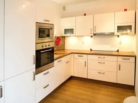 Pronájem bytu 2+kk, Brno, Purkyňova, 54 m2
