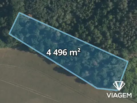 Prodej lesa, Sudovo Hlavno, 4496 m2