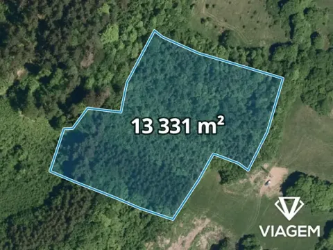 Prodej lesa, Vsetín, Rokytnice, 13331 m2