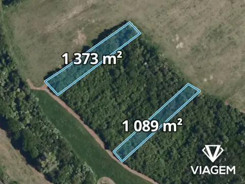 Prodej lesa, Kurdějov, 2462 m2