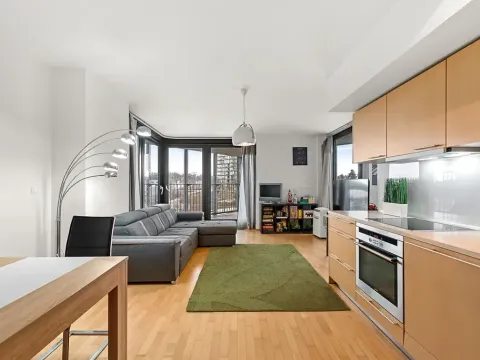 Prodej bytu 2+kk, Praha - Žižkov, Pitterova, 52 m2