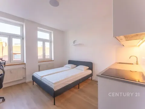 Pronájem bytu 1+kk, Praha - Vinohrady, Perunova, 22 m2