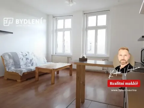 Pronájem bytu 1+1, Teplice, Revoluční, 48 m2