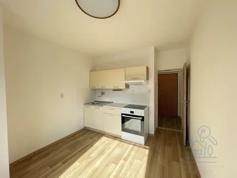 Pronájem bytu 1+1, Příbram, Čechovská, 46 m2