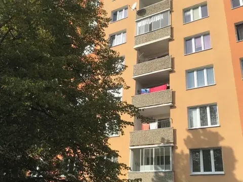 Prodej bytu 1+1, Chomutov, Pod Břízami, 36 m2
