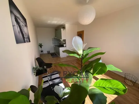 Prodej bytu 2+kk, Praha - Braník, Novodvorská, 43 m2