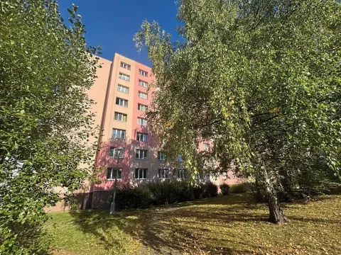 Pronájem bytu 1+1, Plzeň, Karla Steinera, 36 m2